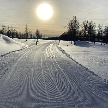 Hytteperle Gala, Vakre Lauvasen, Honhuset 度假居 Sør-Fron