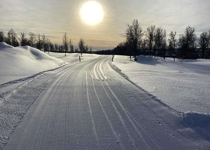 Hytteperle Gala, Vakre Lauvasen, Honhuset בית נופש Sør-Fron